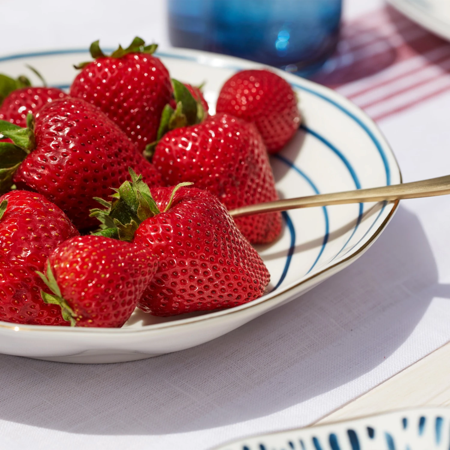 Lenox Blue Bay 4-Piece Set Pasta Bowls - Elegant Dinnerware for Stylish Dining 4 Lenox Blue Bay 4-Piece Set Pasta Bowls - Elegant Dinnerware for Stylish Dining - Image 2