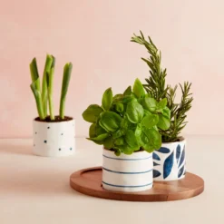 Lenox Blue Bay™ 4pc Snack Bowl & Tray Set - Elegant Dinnerware for Stylish Entertaining -lenox Sales Store 890207 LNP S21 FEA 3